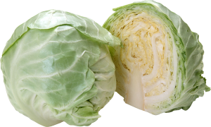 Cabbage PNG image-8797